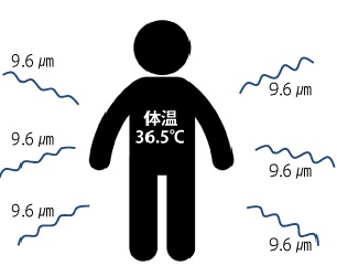 琬__9.6m