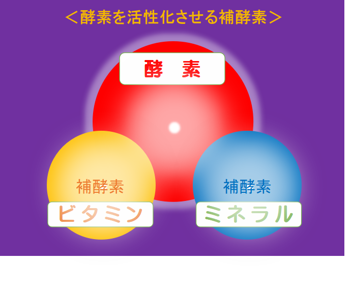 マジェスティバランス