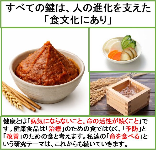 日本の食文化